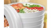 Сушилка для овощей и фруктов WetAir FD-520